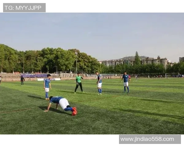 南京足球队在联赛中的比赛经验与表现分析与点评